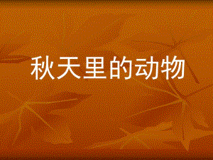 天里的动物.ppt