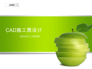 cad施工图-第二章居住空间.ppt