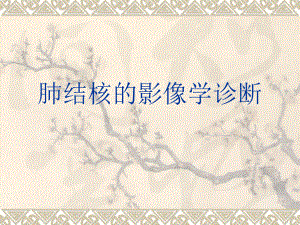 2013肺结核的影像学诊断.ppt