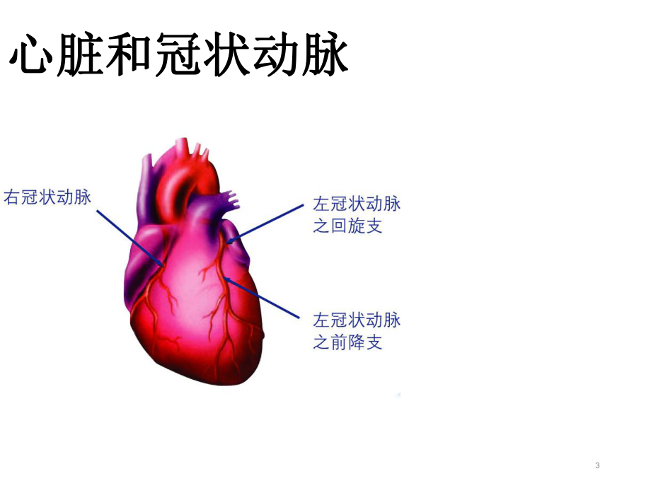 (最新整理)冠心病科普.ppt_第3页