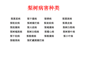 梨树病虫害防治.ppt