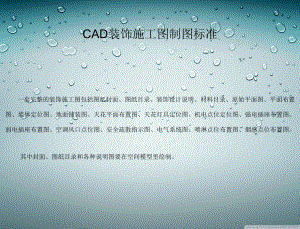 CAD施工图制图标准.ppt