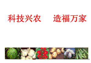 梨树栽培技术.ppt