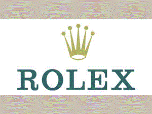 劳力士市场调查报告.ppt