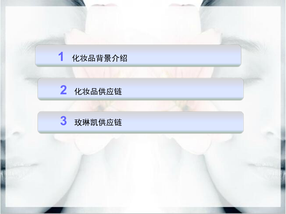 化妆品供应链分析.ppt_第2页