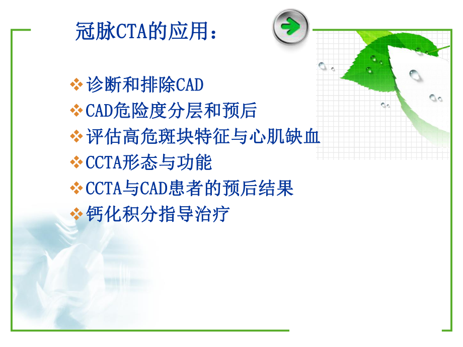 冠脉CTA诊断及临床应用.ppt_第2页