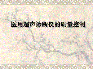 医用超声诊断仪的质量控制.ppt