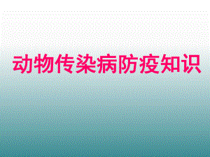 动物传染病防疫知.ppt