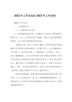 2022年工作总结及2023年工作安排.docx