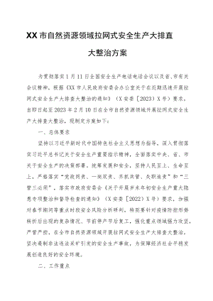XX市自然资源领域拉网式安全生产大排查大整治方案.docx