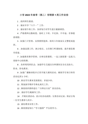小学2023年春季（第二）学期第1周工作安排.docx