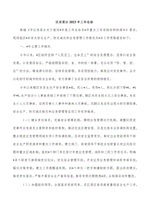 区安委办2023年工作总结.docx