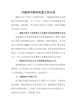 中医科中医药年度工作计划.docx