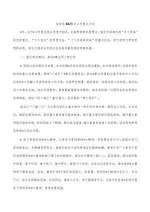 体育局2023年工作要点计划.docx