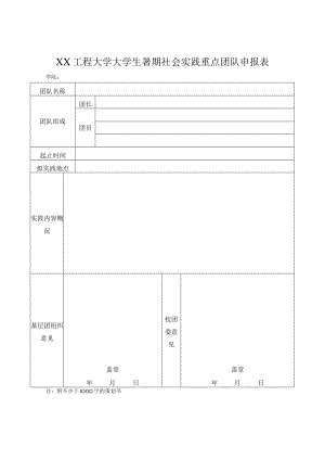 XX工程大学大学生暑期社会实践重点团队申报表.docx