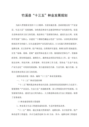 竹溪县“十三五”林业发展规划.docx