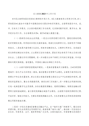 区大数据2023年工作计划.docx