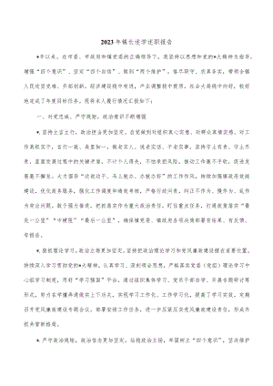 2023年镇长述学述职报告.docx