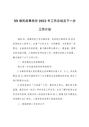 XX镇民政事务所2022年工作总结及下一步工作计划.docx