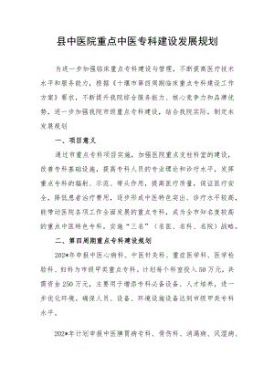 县中医院重点中医专科建设发展规划.docx