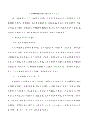 粮食物资储备局安全生产工作总结.docx