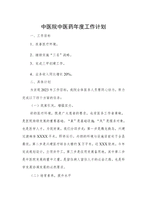中医院中医药年度工作计划.docx