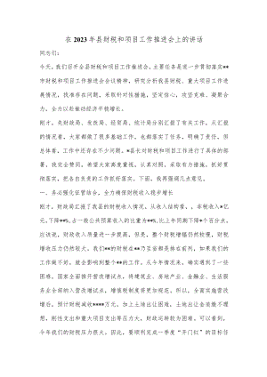 在2023年县财税和项目工作推进会上的讲话.docx