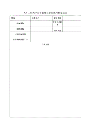 XX工程大学青年教师挂职锻炼考核鉴定表.docx
