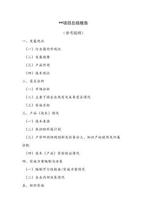 项目总结报告（模板）.docx