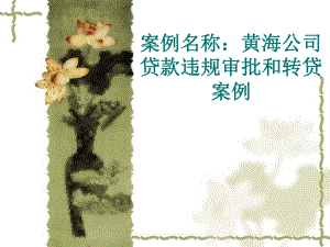 商业银行经典案例分析.ppt