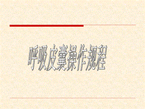 呼吸皮囊操作规程.ppt