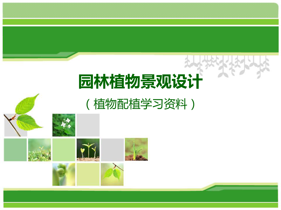 园林植物景观设计的图纸要求.ppt_第1页