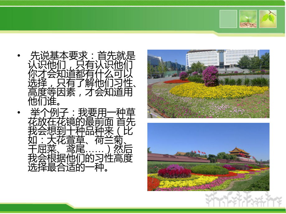 园林植物景观设计的图纸要求.ppt_第3页