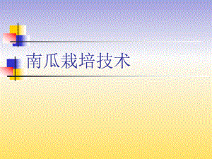 南瓜栽培技术.ppt