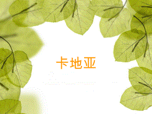 卡地亚研究分析报告.ppt