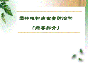园林病虫害防治.ppt