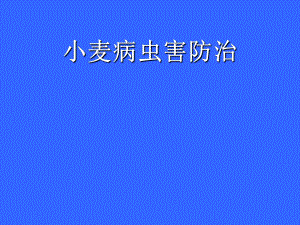 小麦病虫害防治.ppt