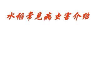 常见水稻病虫害识别GJY.ppt