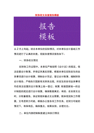 财务收支自查报告模板.docx