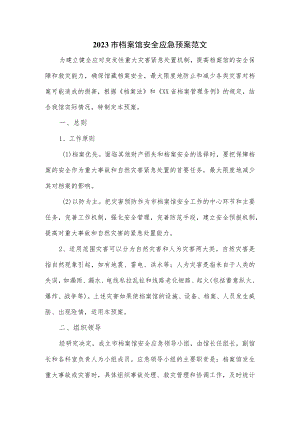 2023市档案馆安全应急预案范文.docx