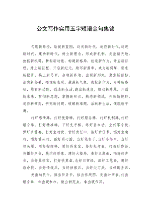 公文写作实用五字短语金句集锦.docx