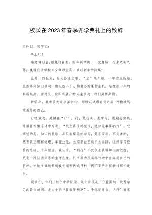 校长2023年春季开学典礼上的致辞.docx