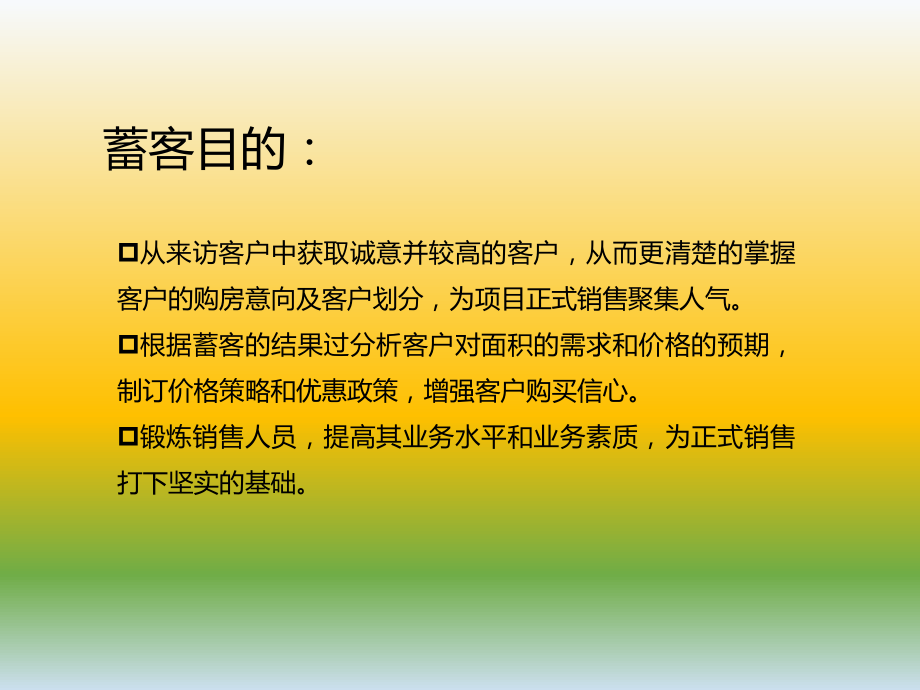 房地产蓄客策略.ppt_第1页