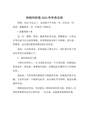 体制内的我2022年年终总结.docx