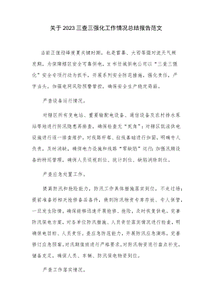关于2023三查三强化工作情况总结报告范文.docx