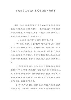 县政府办主任组织生活会查摆问题清单.docx