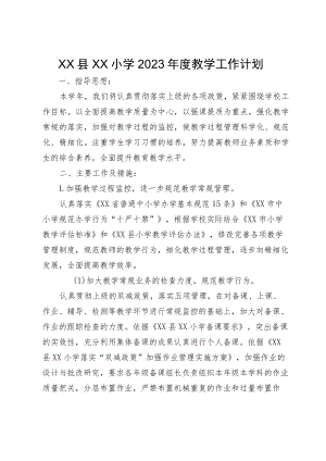 XX县XX小学2023年度教学工作计划.docx