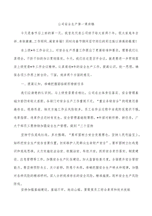 公司安全生产第一课讲稿.docx