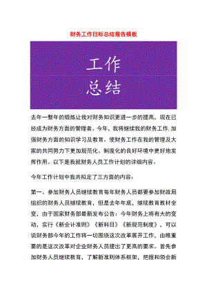 财务工作目标总结报告模板.docx