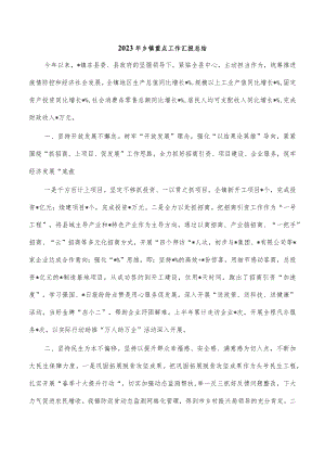 2023年乡镇重点工作汇报总结.docx